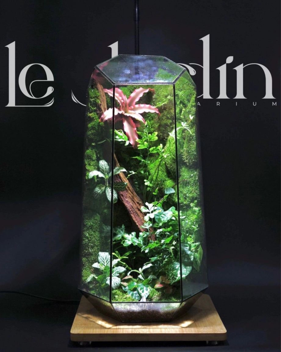 Series - THE RUBY TOWER - T41