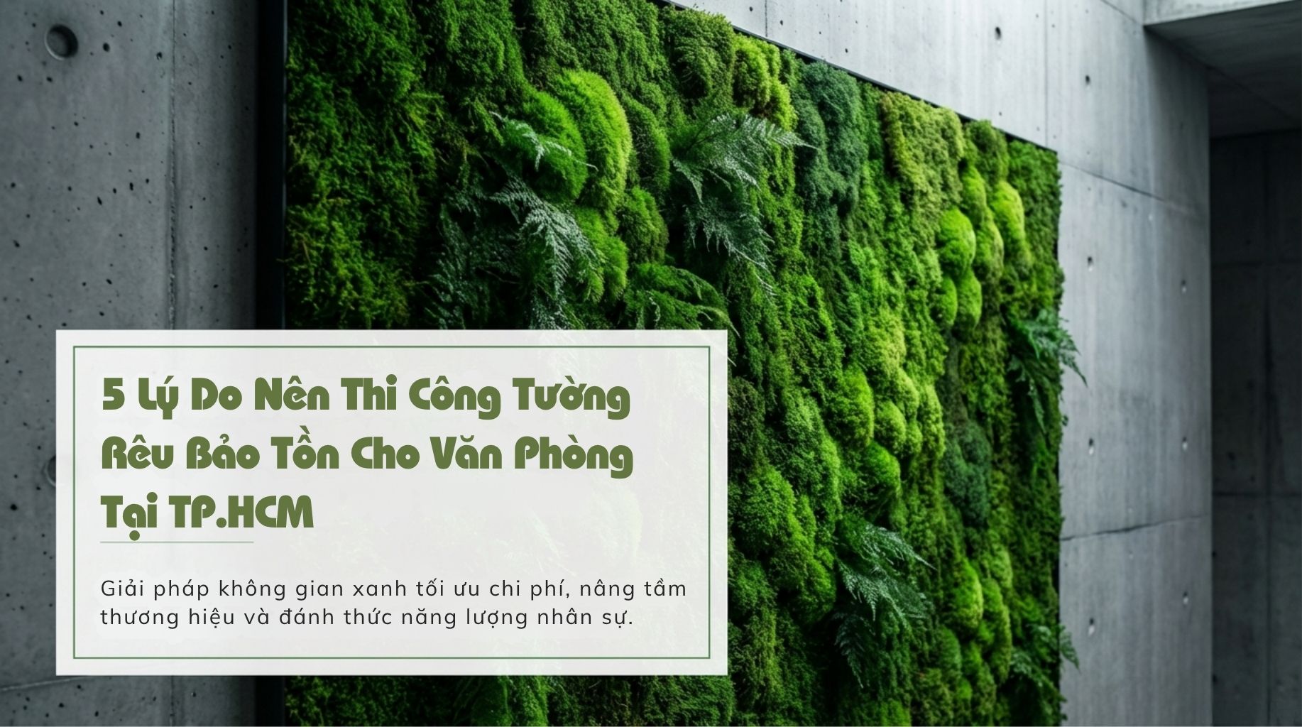 5 Lý Do Nên Thi Công Tường Rêu Bảo Tồn Cho Văn Phòng Tại TP.HCM