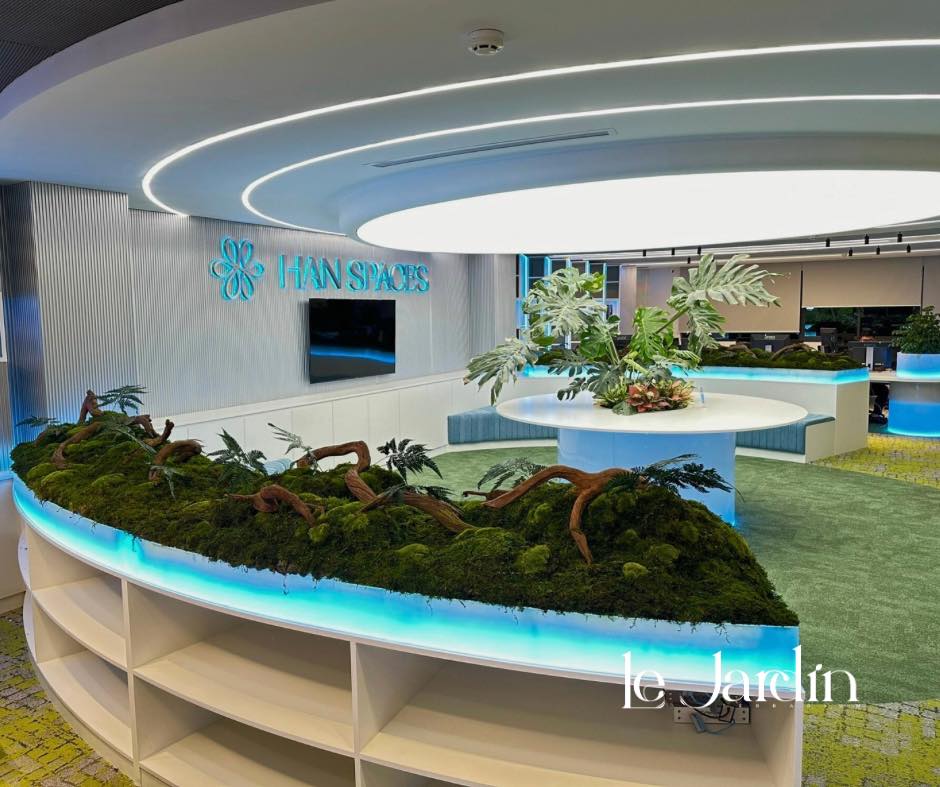 Thiết Kế & Thi Công Rêu Bảo Tồn Không Cần Chăm Sóc Cho Không Gian Sống Tại Han Spaces