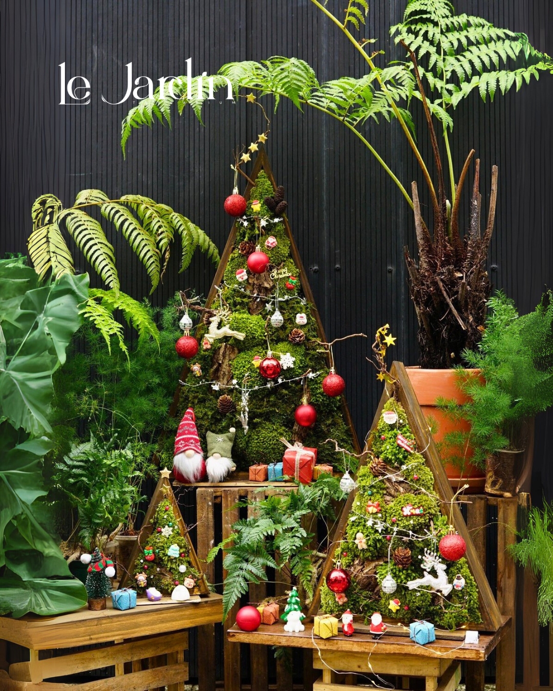 Terrarium Noel Le Jardin – Giáng Sinh Xanh Tinh Tế Cho Không Gian Sống