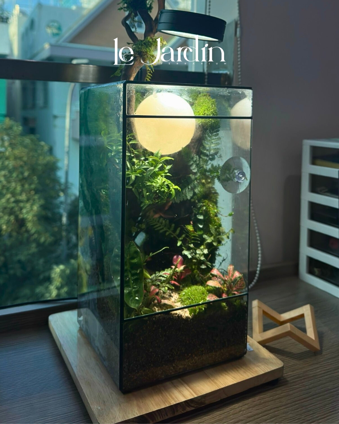 Terrarium – Xu Hướng Nghệ Thuật Xanh Tạo Hệ Sinh Thái Thu Nhỏ Cho Không Gian Sống