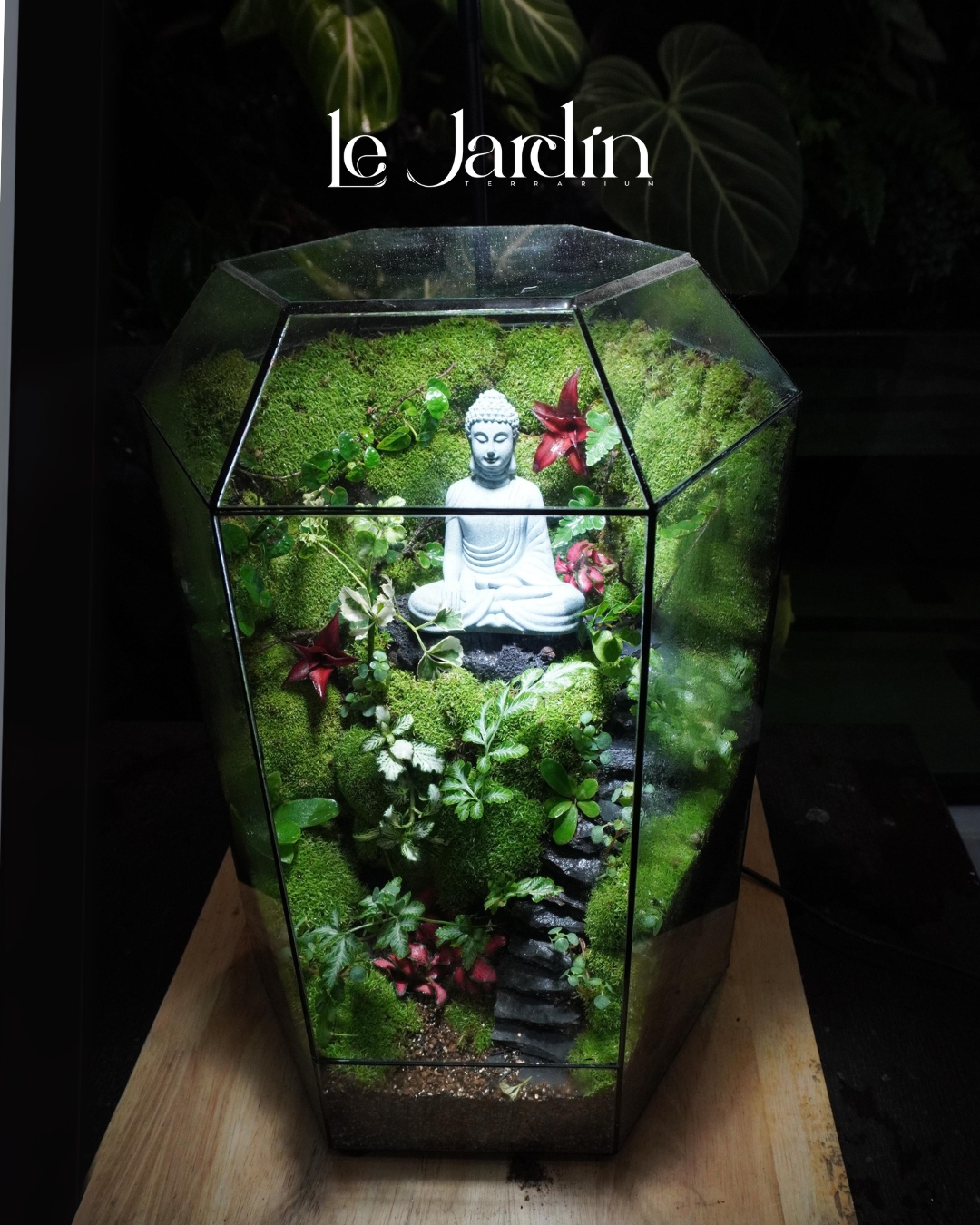 Top Mẫu Terrarium Bán Chạy Nhất Năm – Xu Hướng Trang Trí Xanh Trong Nhà