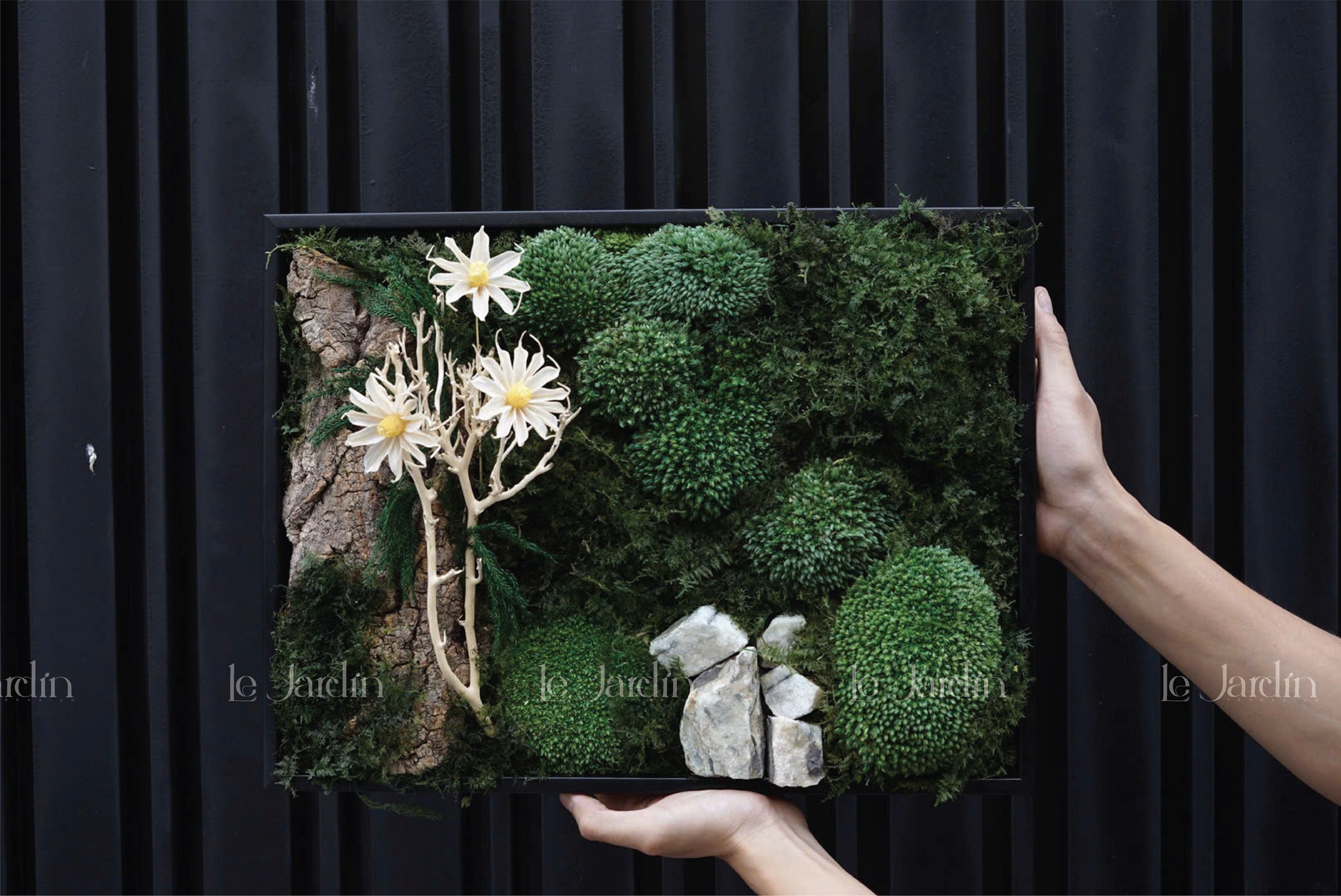 Gợi Ý 6 Mẫu Tranh Rêu Làm Quà Tặng Độc Đáo – Xu Hướng Decor Xanh Đầy Tinh Tế