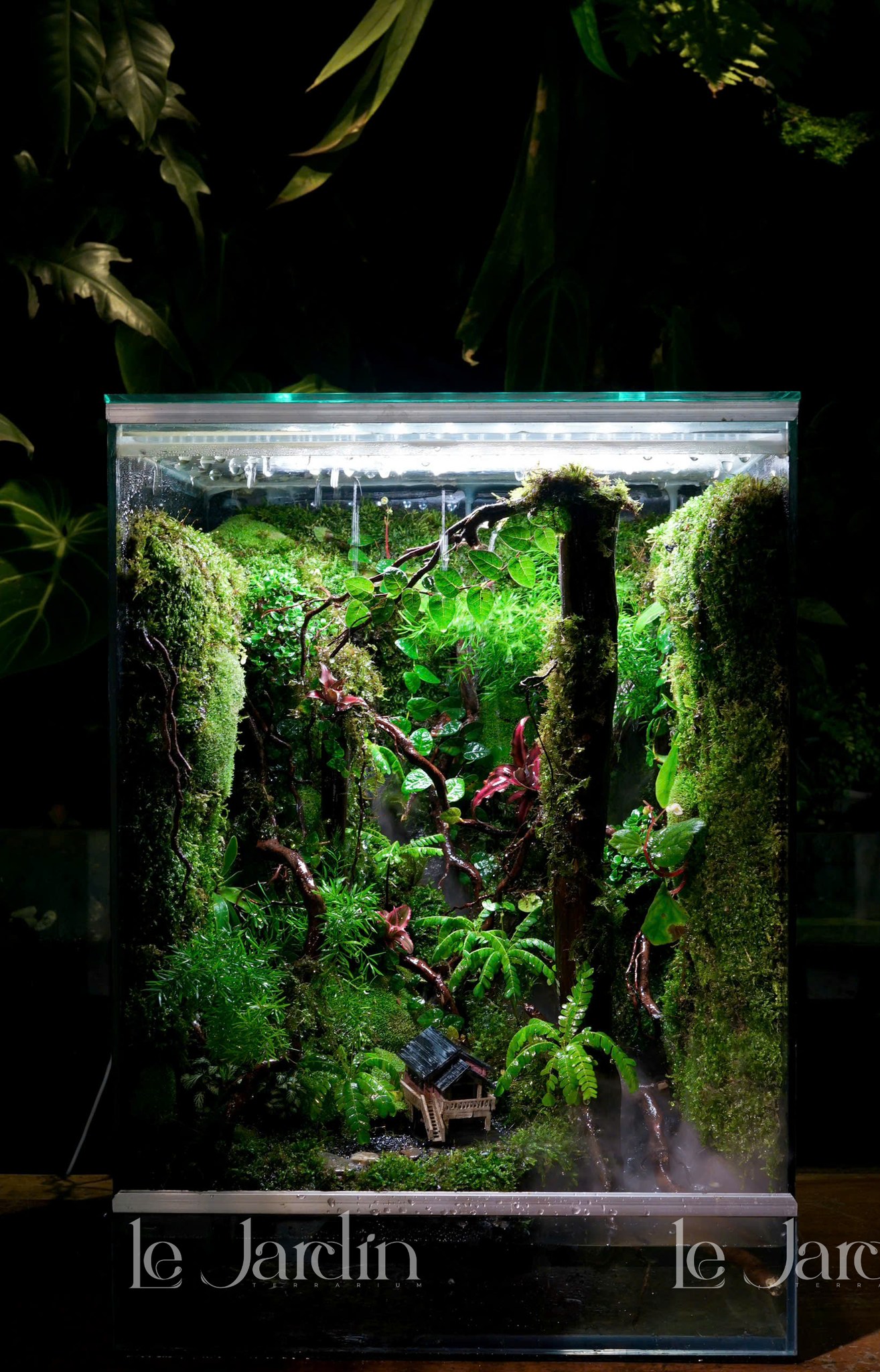 TOP Hồ Bán Cạn – Xu Hướng Tiểu Cảnh 2026 Được Yêu Thích Nhất