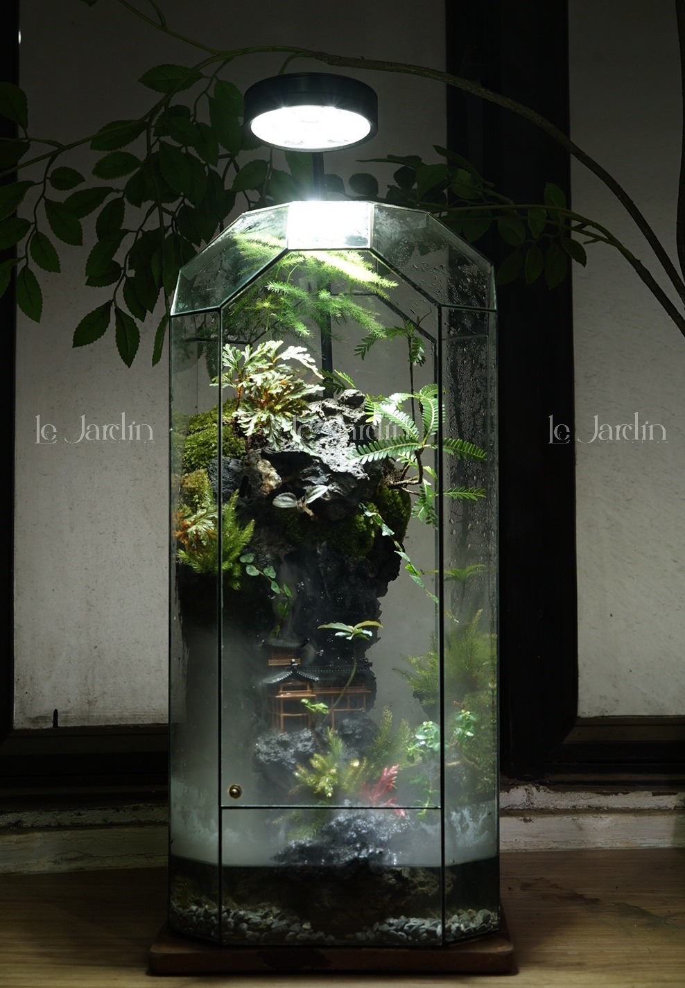Bình Terrarium Nghệ Thuật – Góc Tiểu Cảnh Xanh Đậm Chất Thiền Cho Không Gian Sống