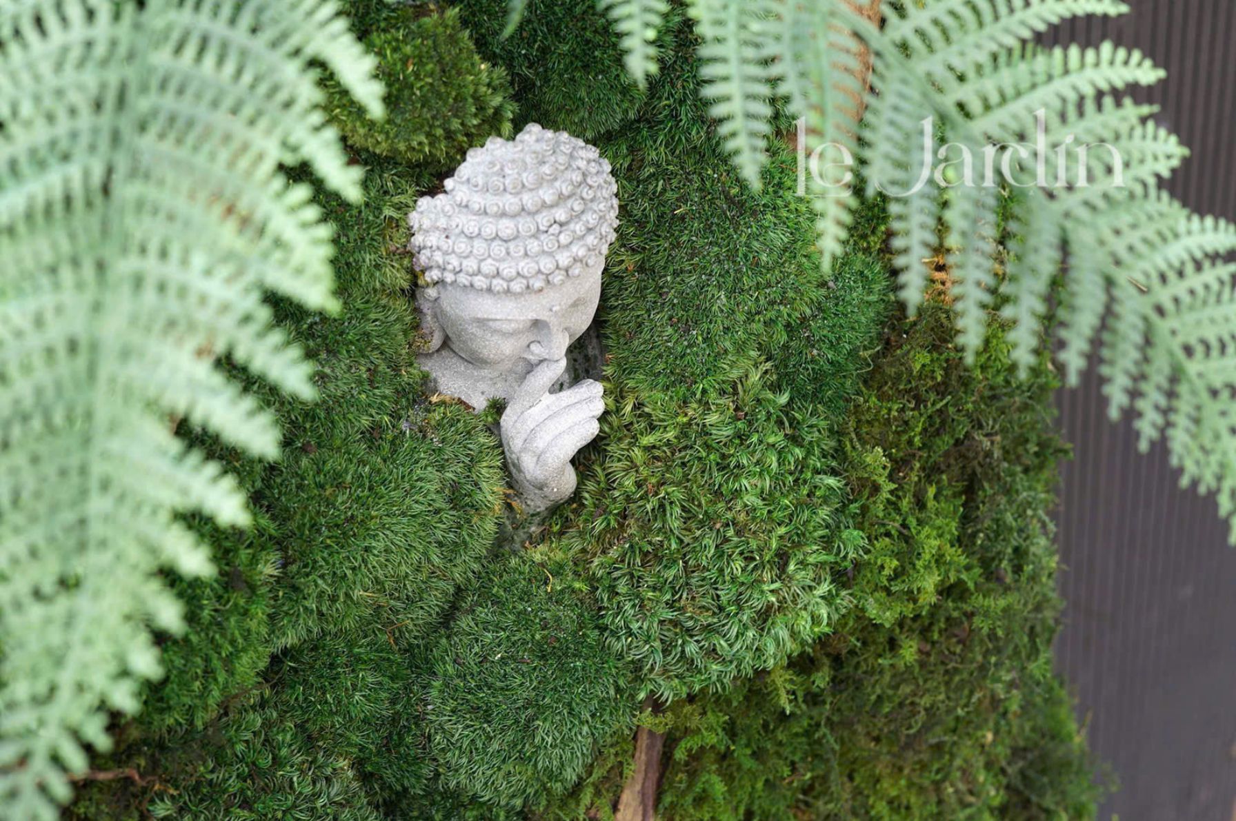 Thông Số Kỹ Thuật & Lắp Đặt Chi Tiết Của Tường Rêu