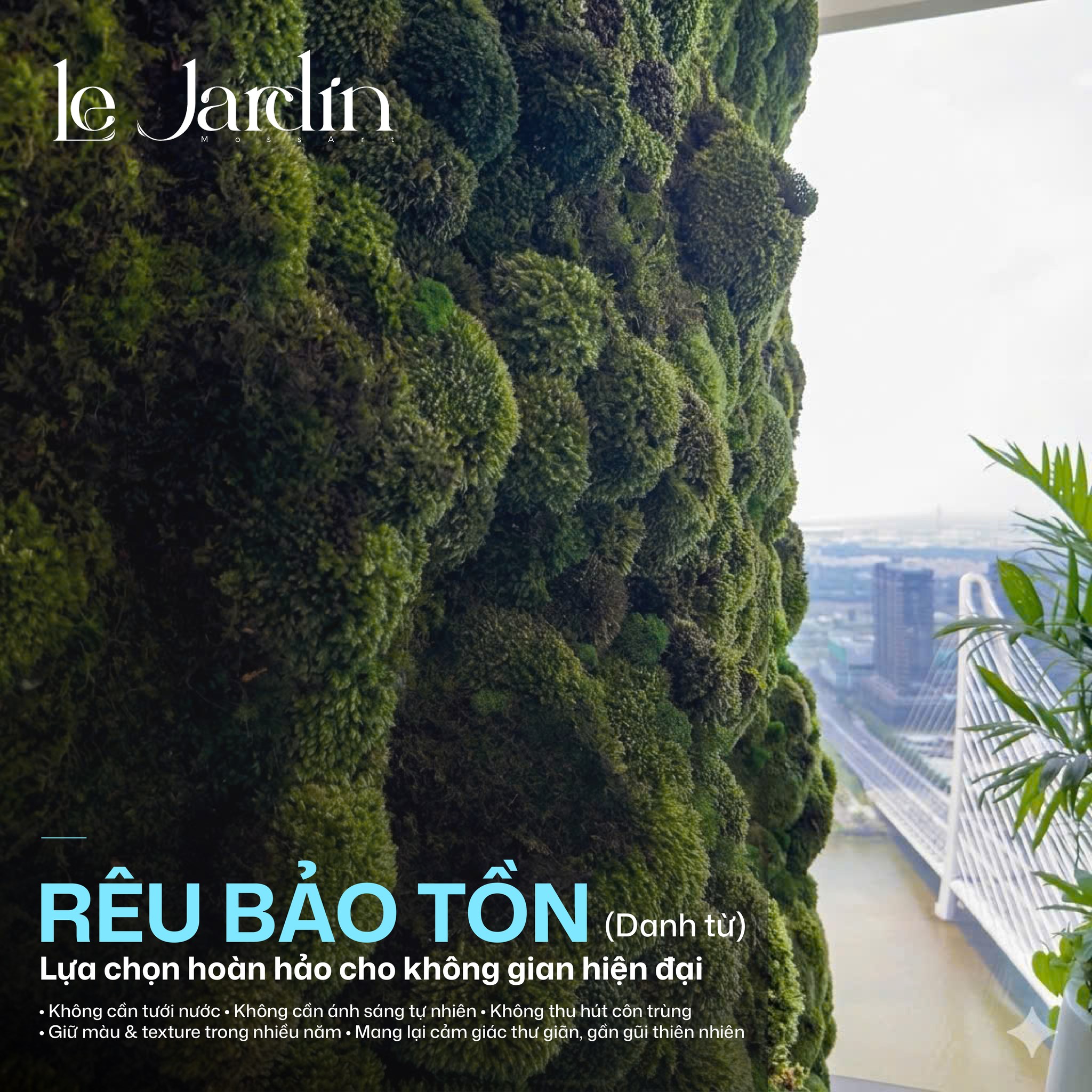 Rêu Bảo Tồn Là Gì? Giải Pháp Trang Trí Không Gian Hiện Đại Xanh Bền Vững