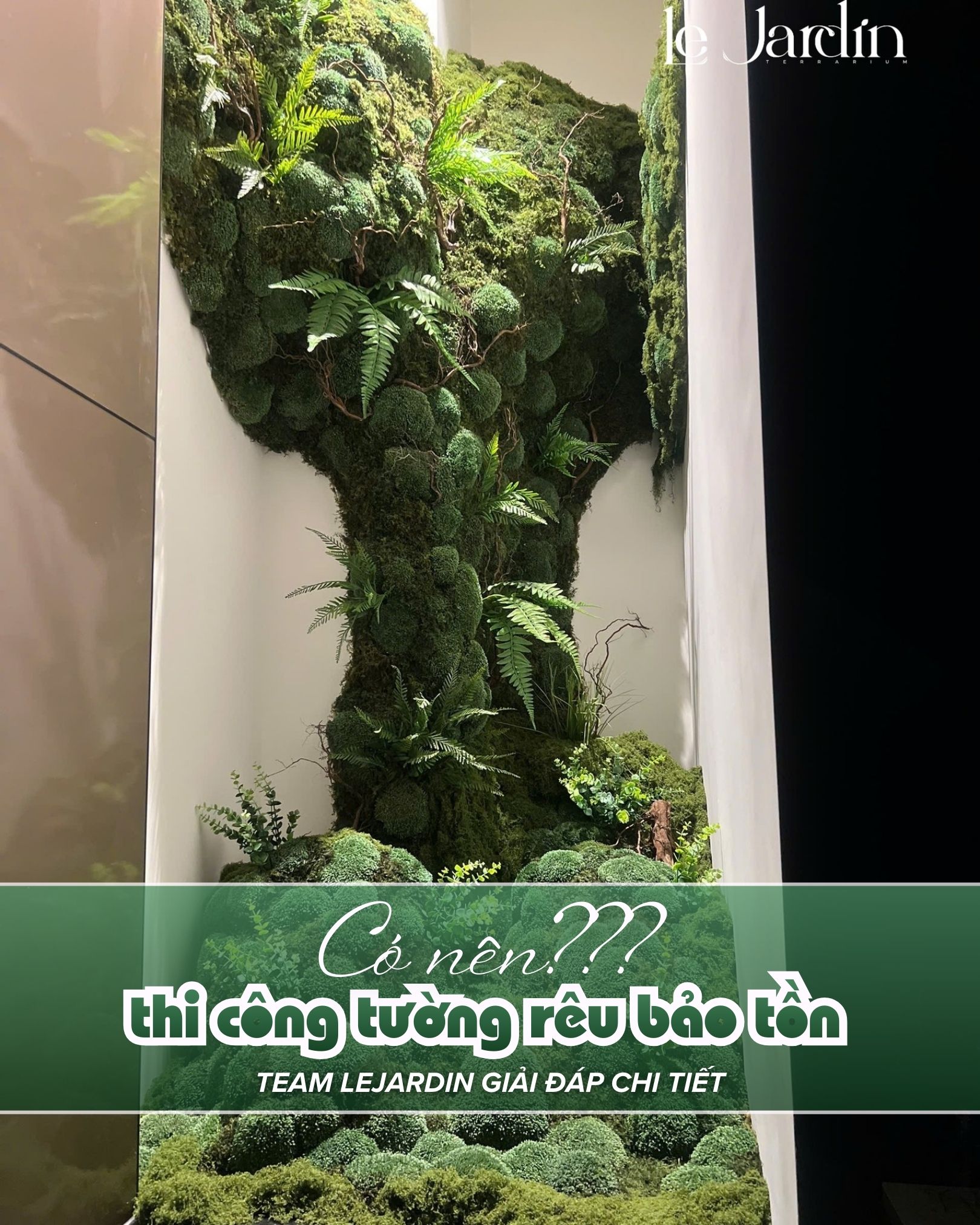 Có nên thi công tường rêu bảo tồn? Team Lejardin giải đáp chi tiết
