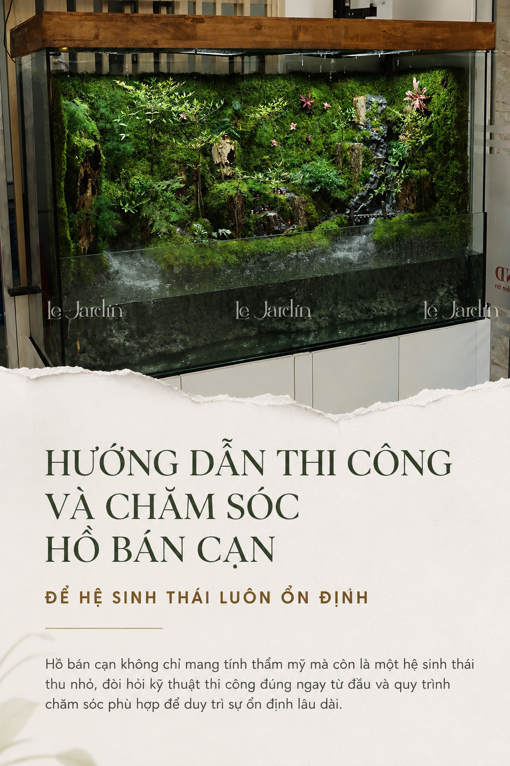 Hướng Dẫn Thi Công Hồ Bán Cạn Đẹp, Ổn Định Và Dễ Chăm Sóc