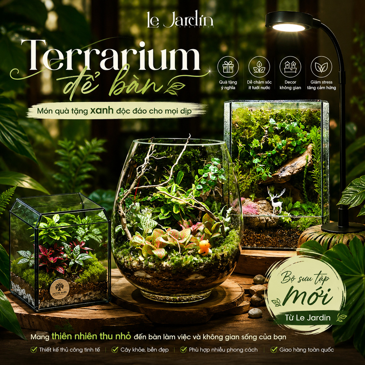 Terrarium Để Bàn – Quà Tặng Xanh Độc Đáo Và Ý Nghĩa