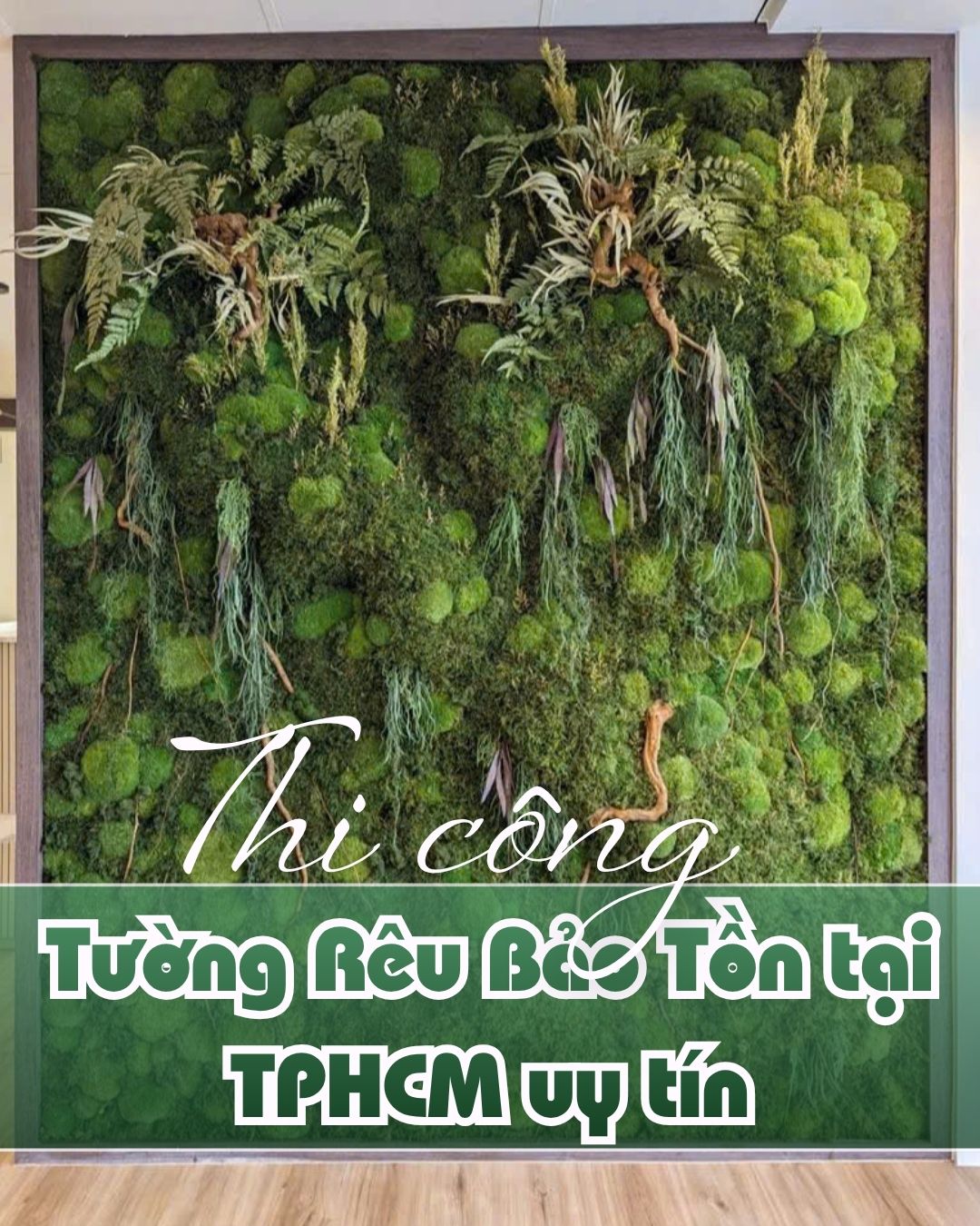Thi Công Tường Rêu Bảo Tồn TP.HCM Uy Tín – Giá Tốt, Thi Công Trọn Gói Chuẩn Kỹ Thuật
